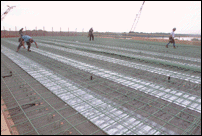 Workers Prepare Decking Steel on Span One