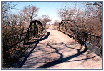 Paw-Paw Bridge