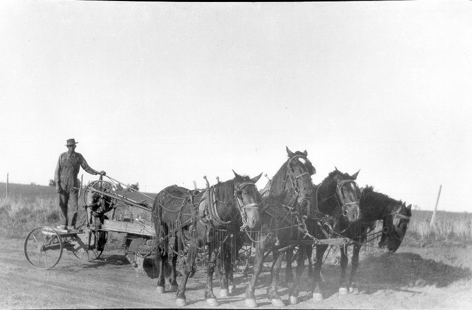 Horse Drawn Road Grader