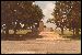 Chisholm Trail Monument