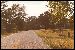 Peace Highway