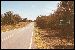 Peace Highway